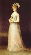 Francisco Jose de Goya Portrait of the Countess of Chinchon. oil